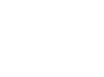 Selo Quiropraxia Brasil